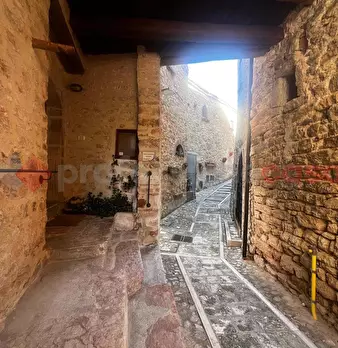 Foto annuncio 13