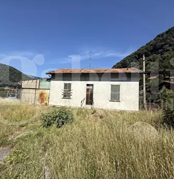 Foto annuncio 7
