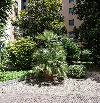 Foto annuncio 18