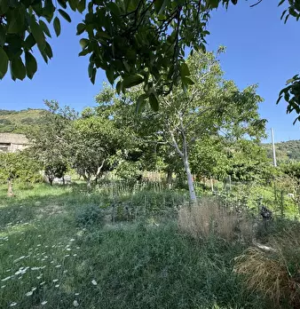 Foto annuncio 13