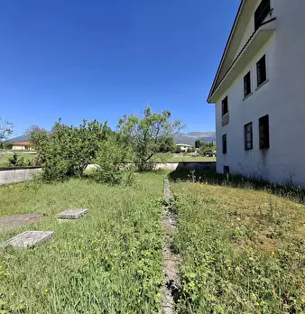 Foto annuncio 5