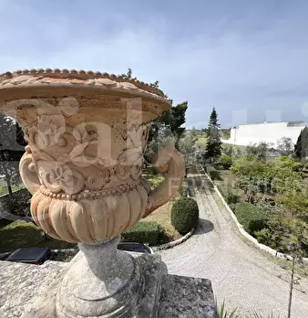Foto annuncio 25