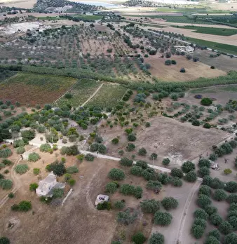 Foto annuncio 10