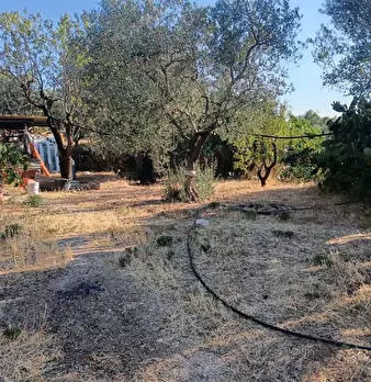 Foto annuncio 5