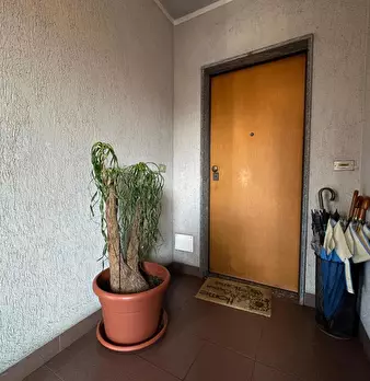 Foto annuncio 27