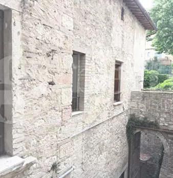 Foto annuncio 42