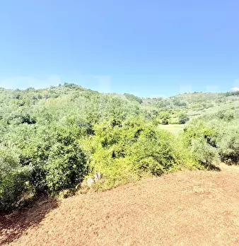 Foto annuncio 30