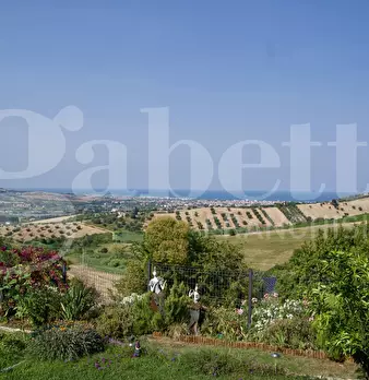 Foto annuncio 31