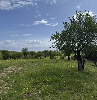 Foto annuncio 5