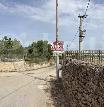 Foto annuncio 46