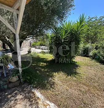Foto annuncio 43