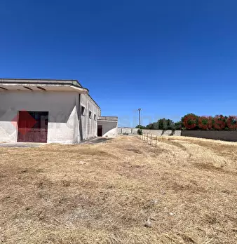 Foto annuncio 11
