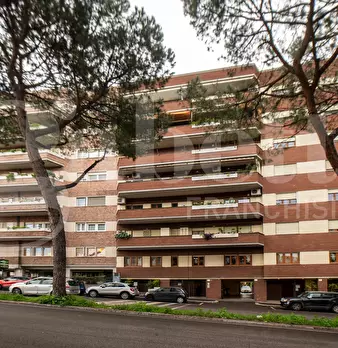 Foto annuncio 27