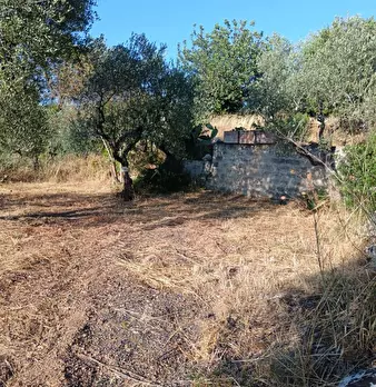 Foto annuncio 9