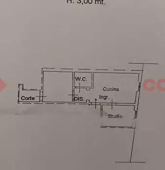 Foto annuncio 30