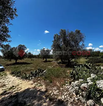Foto annuncio 2
