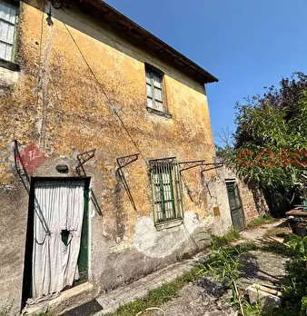 Foto annuncio 11