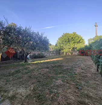 Foto annuncio 43