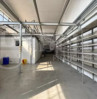 Foto annuncio 12