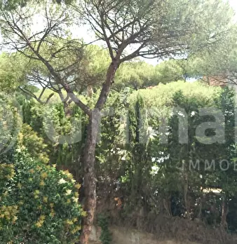 Foto annuncio 22