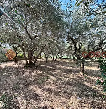 Foto annuncio 4