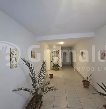 Foto annuncio 23
