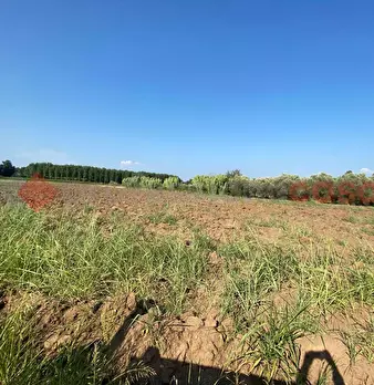Foto annuncio 22