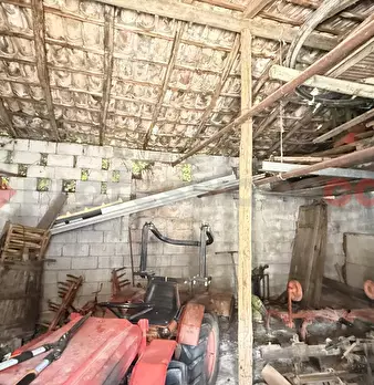 Foto annuncio 29