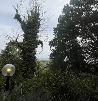 Foto annuncio 22