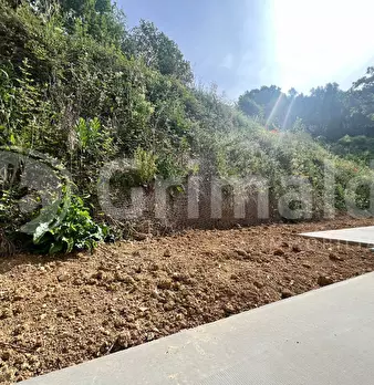 Foto annuncio 21