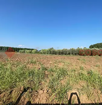 Foto annuncio 29