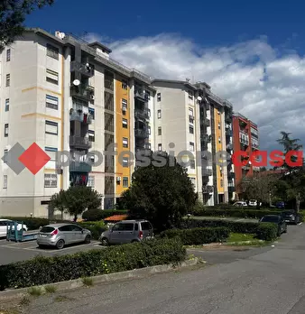 Foto annuncio 31