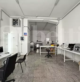 Foto annuncio 29