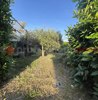 Foto annuncio 41