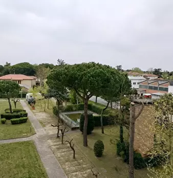 Foto annuncio 9