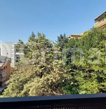 Foto annuncio 12