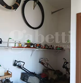 Foto annuncio 8