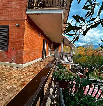Foto annuncio 11