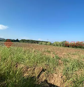 Foto annuncio 13