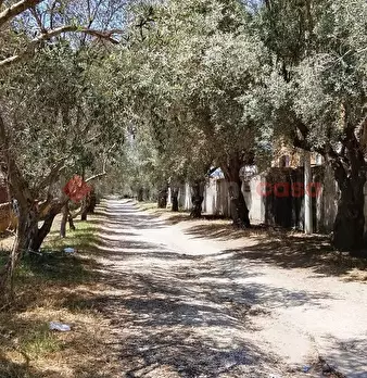 Foto annuncio 31