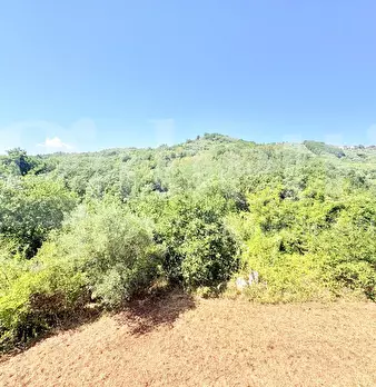 Foto annuncio 32
