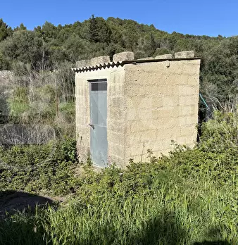 Foto annuncio 16