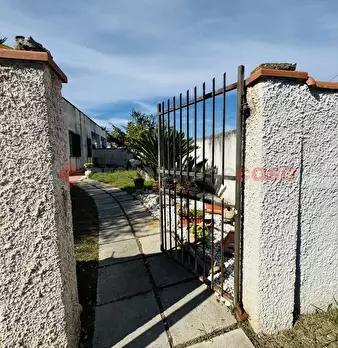Foto annuncio 46