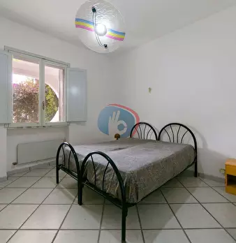 Foto annuncio 21