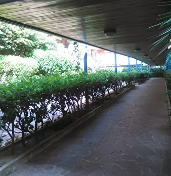Foto annuncio 21