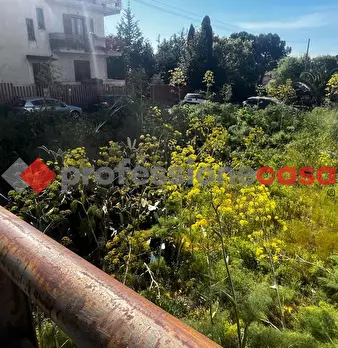 Foto annuncio 4