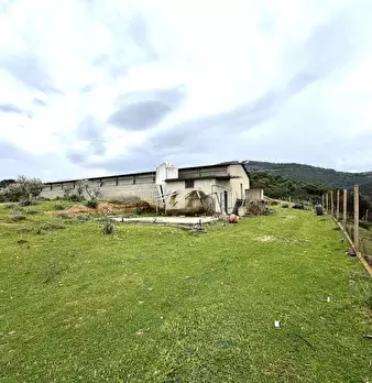 Foto annuncio 9
