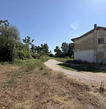 Foto annuncio 19