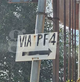 Foto annuncio 20
