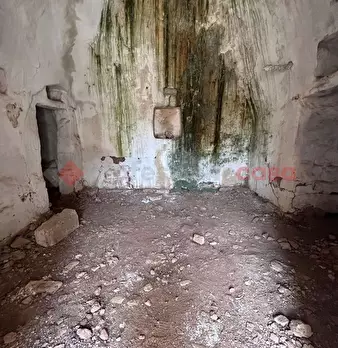 Foto annuncio 12